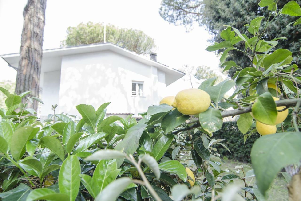 Appartamenti Federica Milano Marittima Extérieur photo
